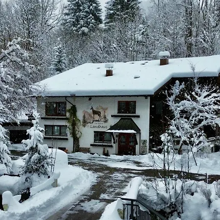 Apartmán Lupo - Ihre Allgaeu-auszeit Mit Hund